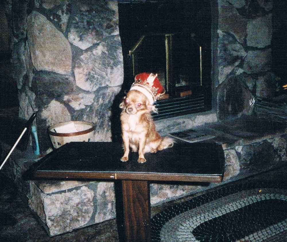 Ch. O Pag's Colonel Ollie