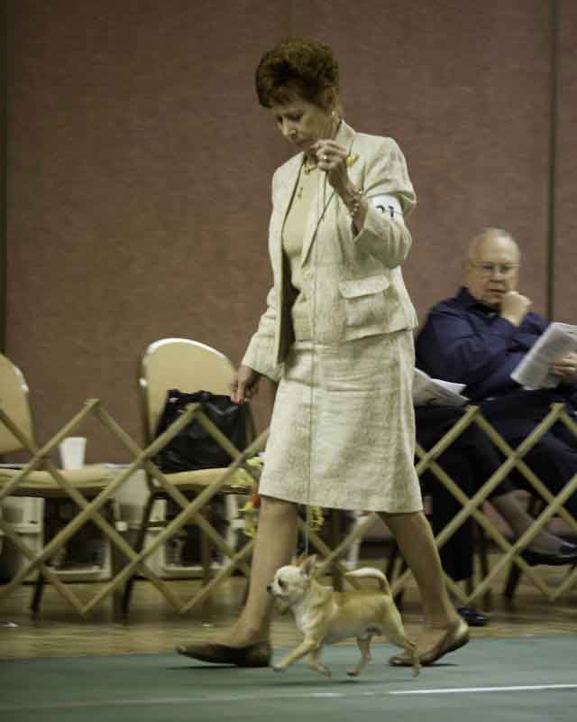 GCh. Jen-Jeans Huckelberry Finn