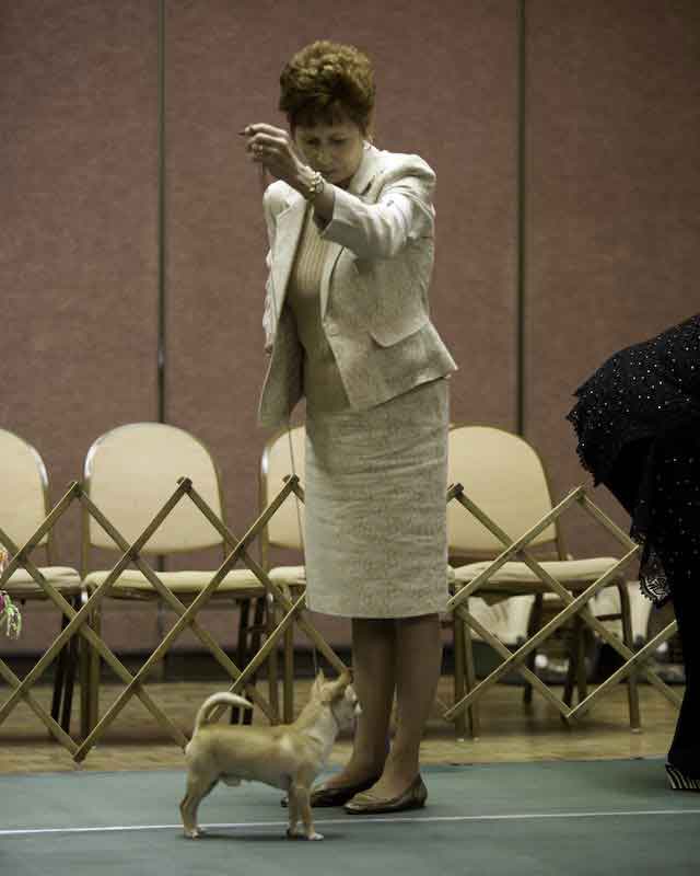 GCh. Jen-Jeans Huckelberry Finn