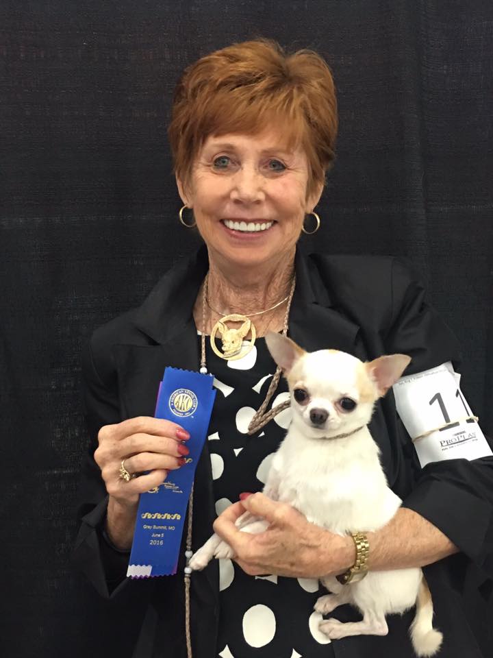 JenJeans One Direction 3points